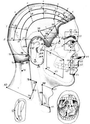область головы и шеи