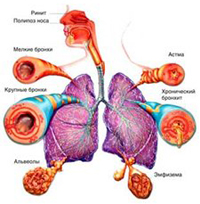 Бронхиальная астма и тошнота