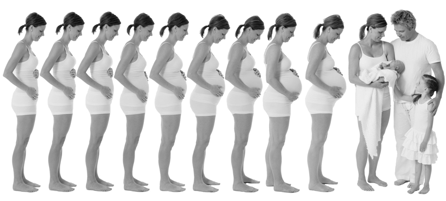 Размеры живота беременности по неделям фото